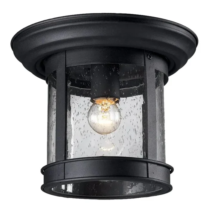 1 Light Outdoor Flush Mount