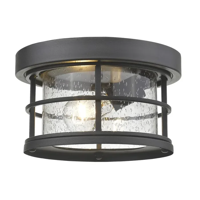 1 Light Outdoor Flush Mount