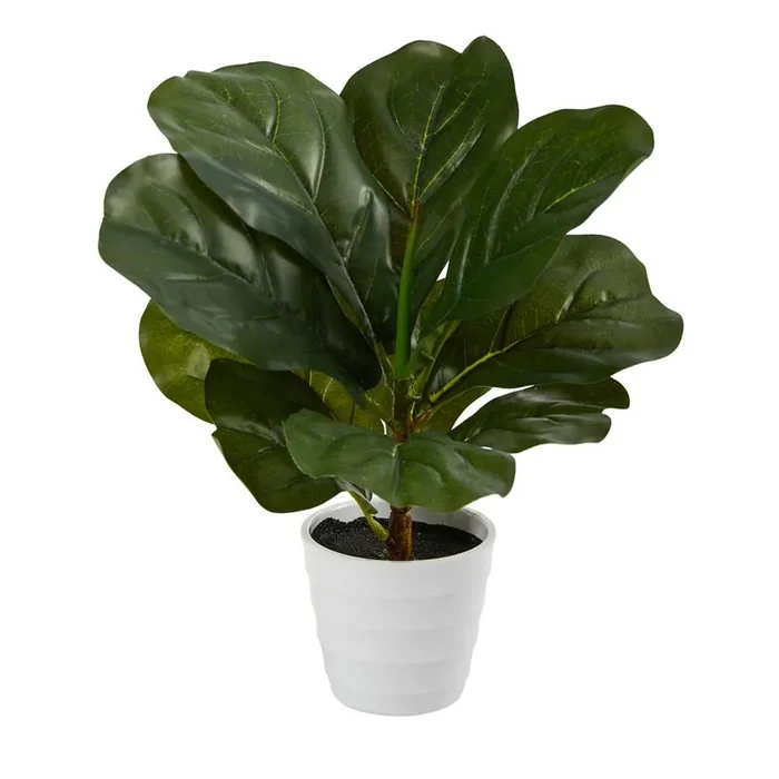 11in. Fiddle Leaf Artificial Plant in White Planter (Real Touch)