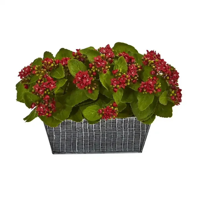 14in. Kalanchoe Artificial Plant in Black Embossed Planter