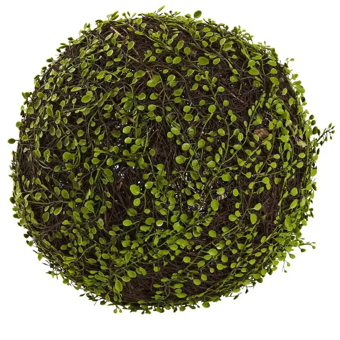 15in. Dia. Mohlenbechia Ball