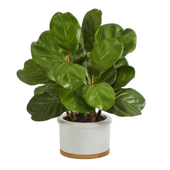 15in. Fiddle Leaf Artificial Tree in White Planter