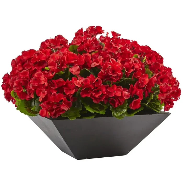 15in. Geranium with Black Planter UV Resistant (Indoor/Outdoor), Red