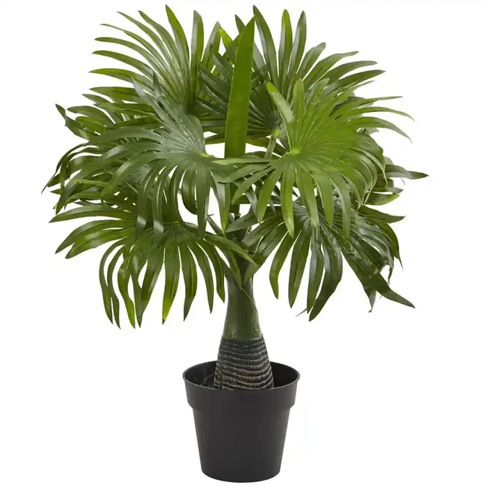 16in. Mini Fountain Palm Artificial Plant