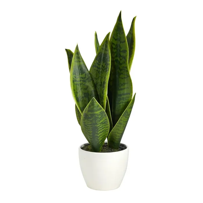 16in. Sansevieria Artificial Plant