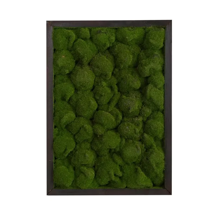 17in. X 24in. Artificial Moss Hanging Frame