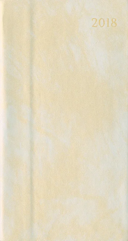 2018 Iridescent Champagne Slim Diary