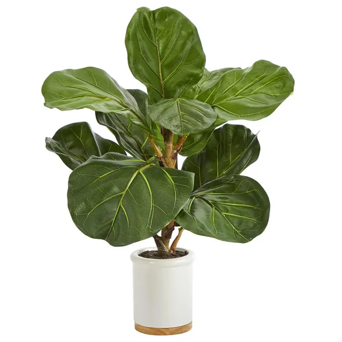 21in. Fiddle Leaf Artificial Tree in White Ceramic Planter