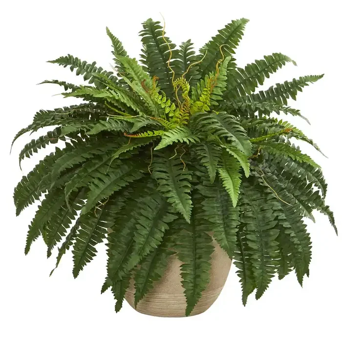 22in. Boston Fern Artificial Plant in Sandstone Planter
