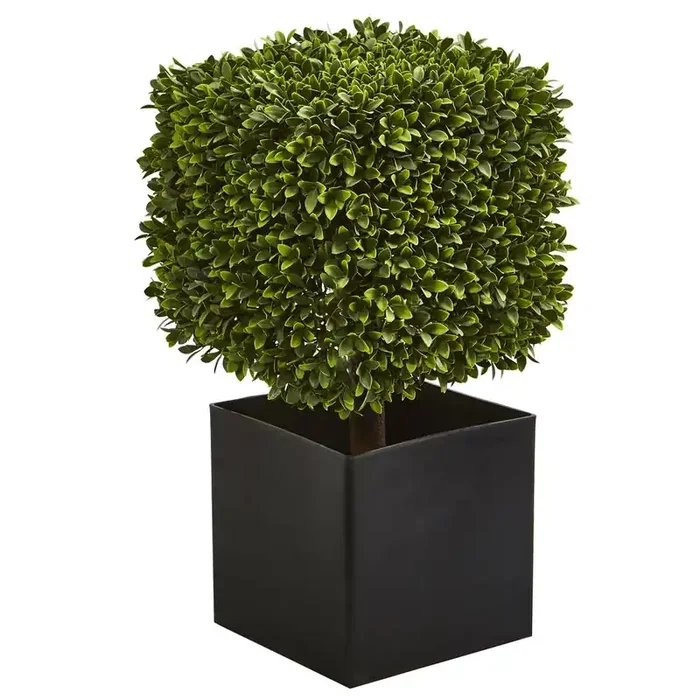 27in. Boxwood Artificial Plant in Black Planter (Indoor/Outdoor)