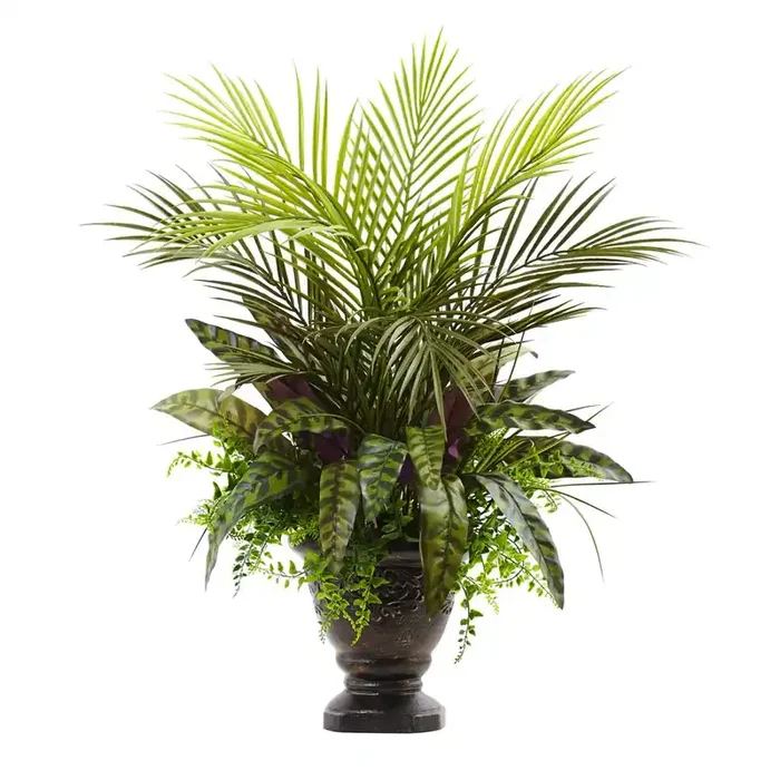27in. Mixed Areca Palm, Fern & Peacock with Planter