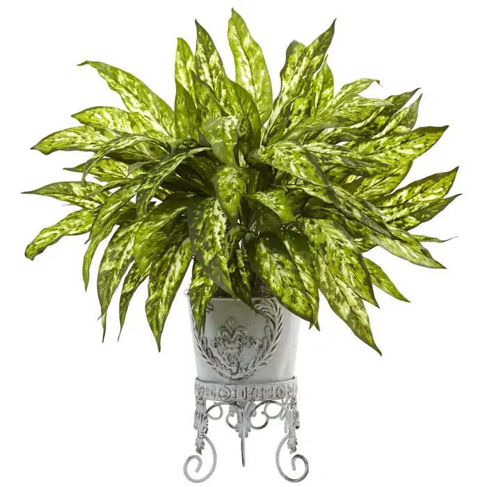 2ft. Aglaonema with Metal Planter