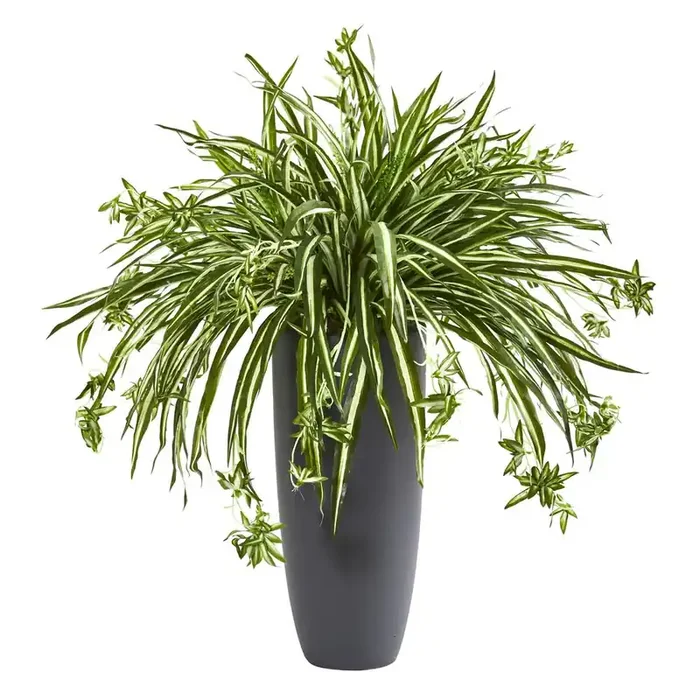 33in. Spider Artificial Plant in Cylinder Planter
