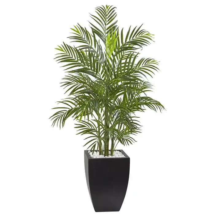 4.5ft. Areca Palm Tree with Black Wash Planter UV Resistant (Indoor/Outdoor)