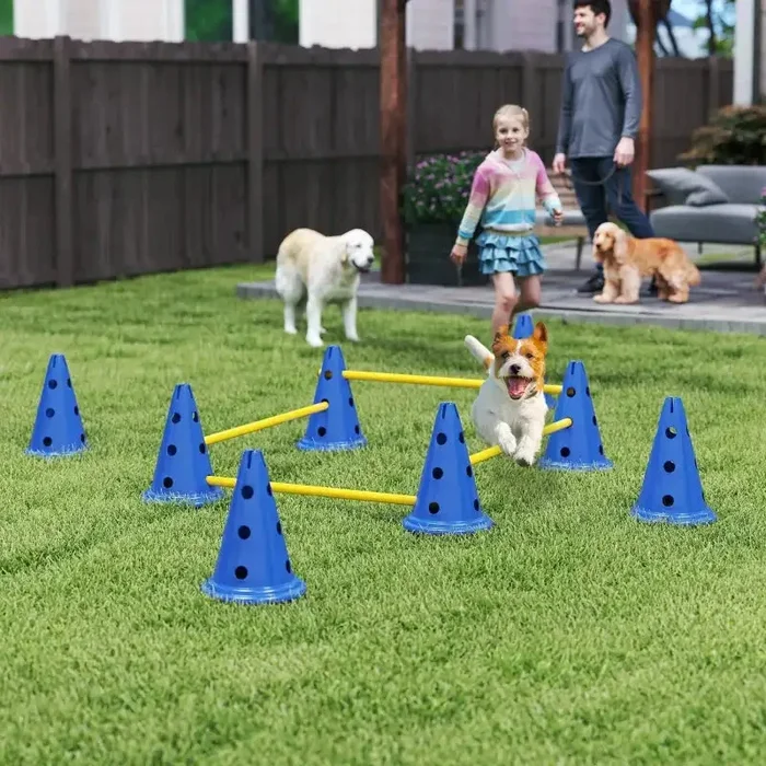 4-Piece Pet Agility Training Set – Blue | Adjustable Dog Jumps with Carry Bag PAWHUT