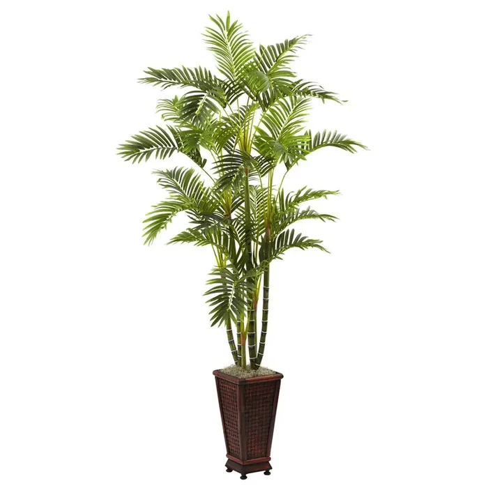 6.5ft. Areca with Decorative Planter