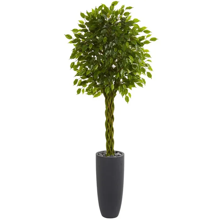 6.5ft. Braided Ficus Artificial Tree in Cylinder Planter UV Resistant (Indoor/Outdoor)