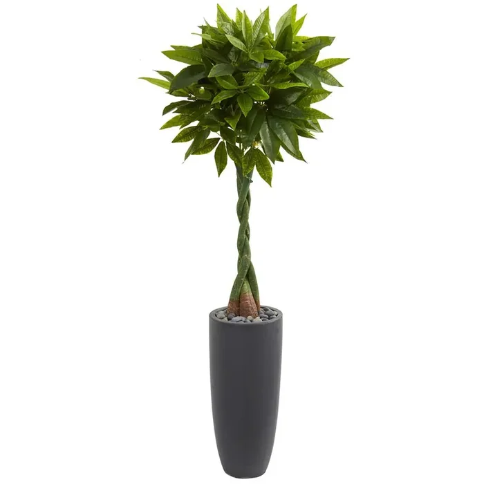 6ft. Money Artificial Tree in Gray Cylinder Planter (Real Touch)