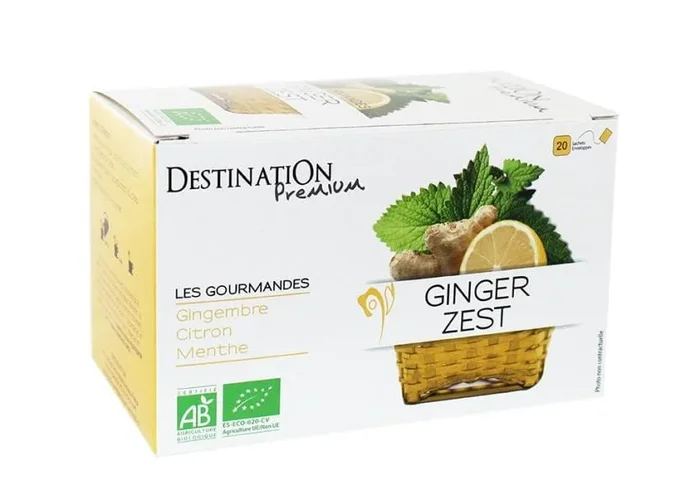 Aufgusstee Ingwer – Zitrone 20×1,5g ECO DESTINATION