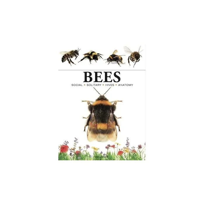 Bees