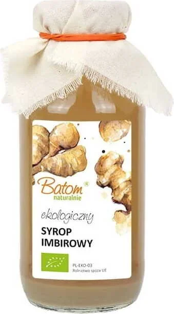 BIO Ingwersirup 330 ml – BATOM
