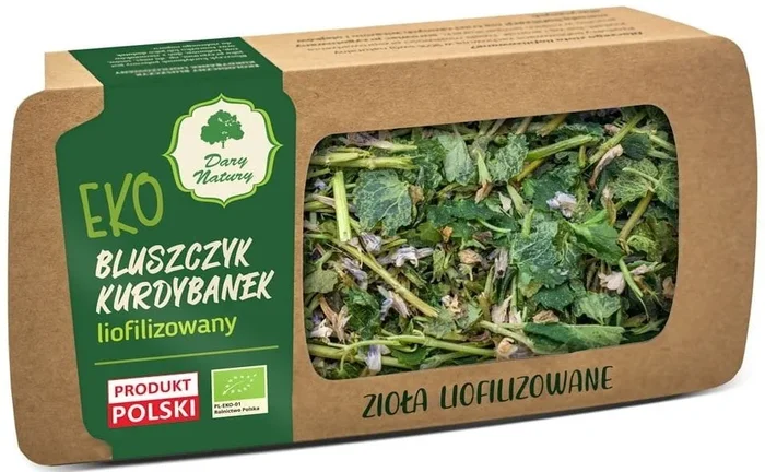 Bluszczyk kurdybanek, gefriergetrocknetes glutenfreies BIO 5 g – DARY NATURY