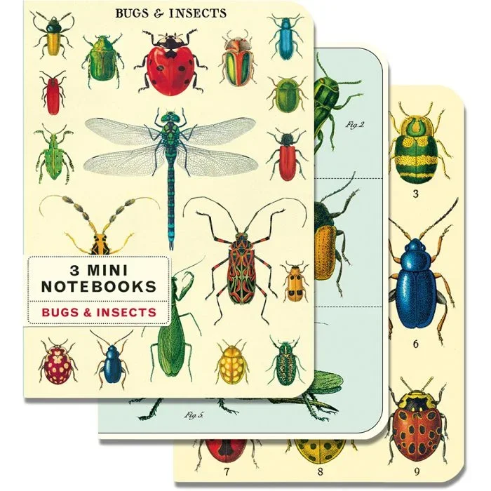 Bugs and Insects Mini Notebook