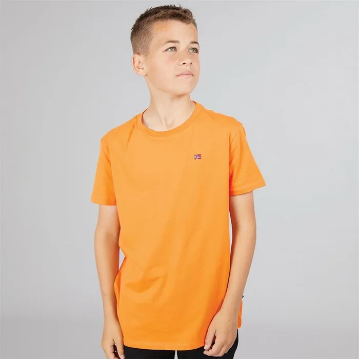 Buy Napapijri Junior Boys Salis Small Logo T-Shirt Apricot