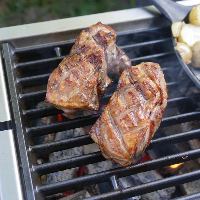 Cast Iron Grate for Thuros Pro