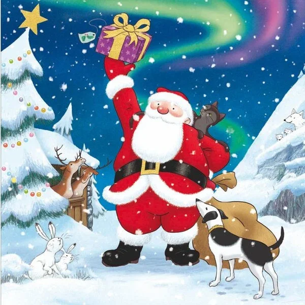 Christmas Surprise Christmas Card
