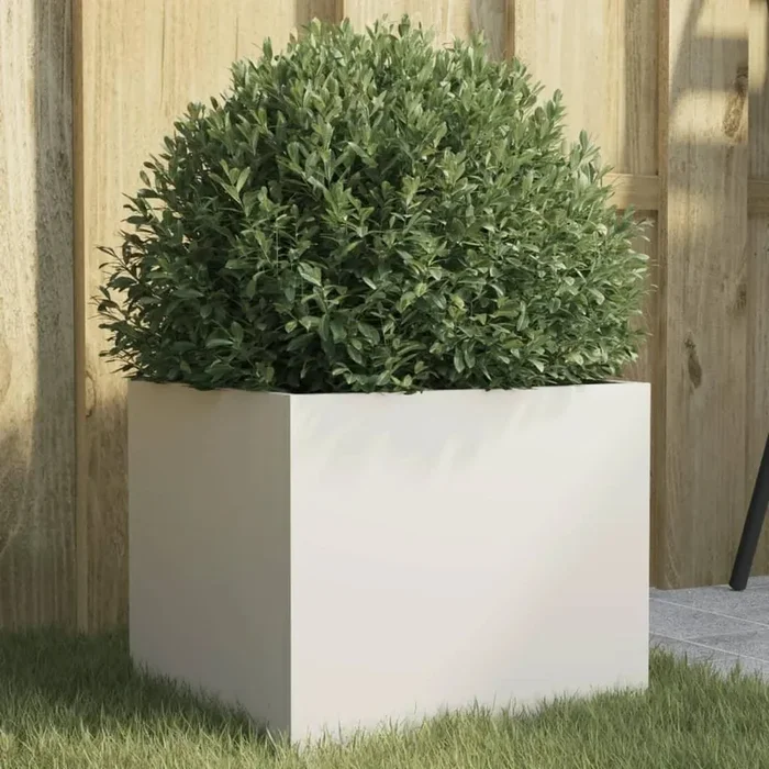 Cold-Rolled Steel Planter | White Smoother Surface and Greater Strength