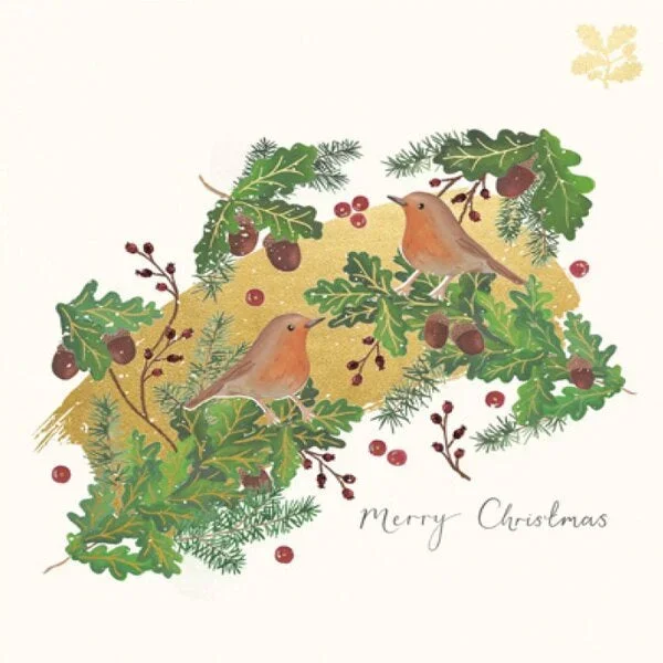 Festive Robin Pack of 5 Cards