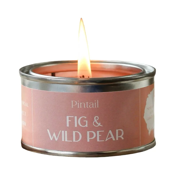 Fig and Wild Pear Paint Pot Candle