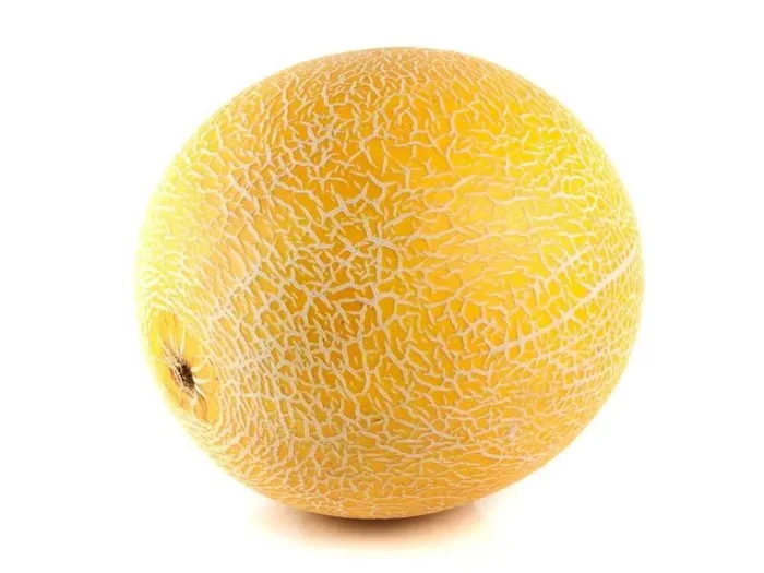 Galia Melon
