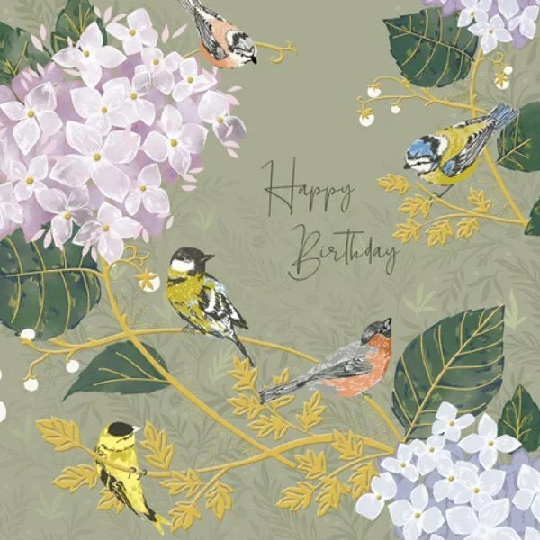 Garden Birds National Trust Birthday Card