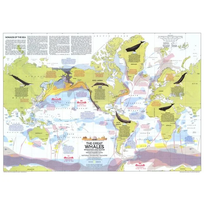Great Whales, Migration and Range – Published 1976 Map