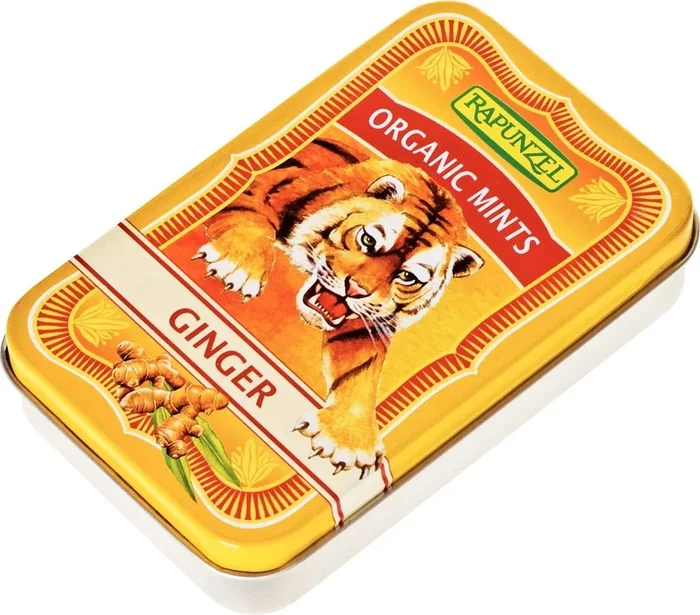 Ingwerpastillen BIO 50 g – RAPUNZEL