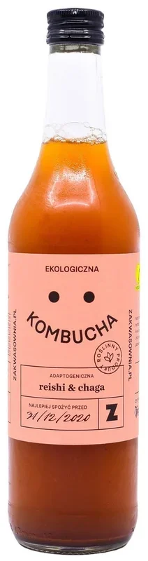 Kombucha mit Reishi und Chaga BIO 500 ml – SÄURE