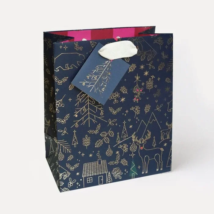 Luxury Foiled Navy Medium Gift Bag