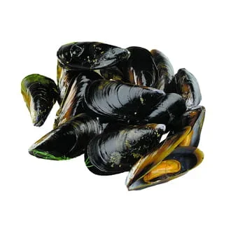Meeresfrüchte Essbare Muscheln netto ca. 1 kg