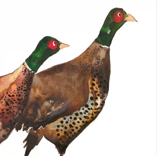 Miles and Giles Card by Catherine Rayner