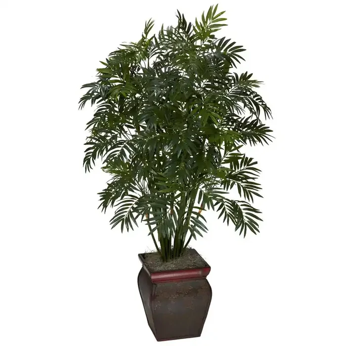 Mini Bamboo Palm with Decorative Vase