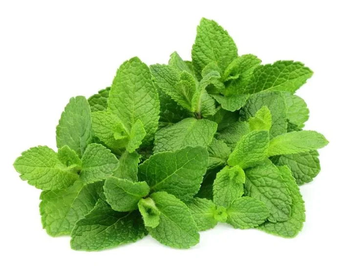 Mint – 20g