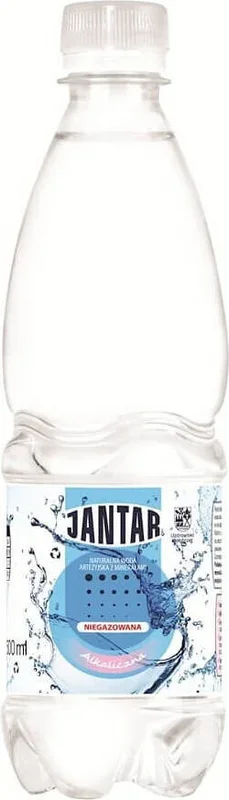 Mittel mineralisiertes stilles Quellwasser 500 ml – JANTAR