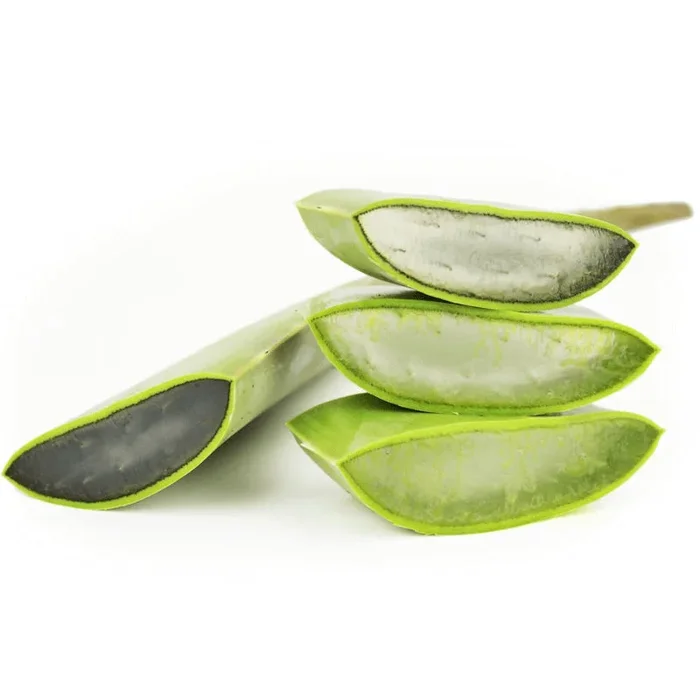 MULTIPACK (kg) – ALOE FRESH BIO (ca. 4 kg)