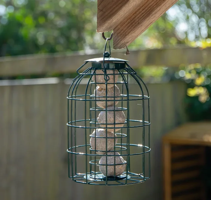 Natures Market Wild Bird Fat Ball Feeder with Squirrel Guard