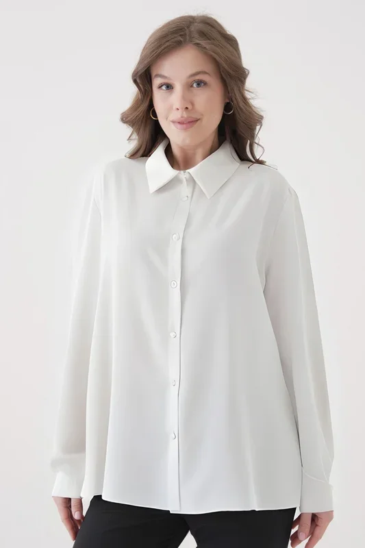 Oversized Long-Sleeves Pointed Collar Neckline Blouse