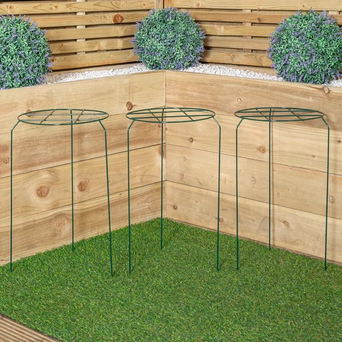 Pack of 3 Tom Chambers Urban Dark Green Metal Herbaceous Garden Plant Support Grow Through Medium 50cm x 30cm