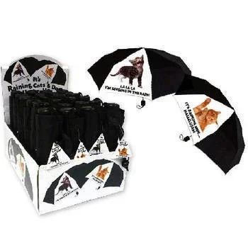 Pallet Deal : Mini Black umbrella with Humourous Cat Design