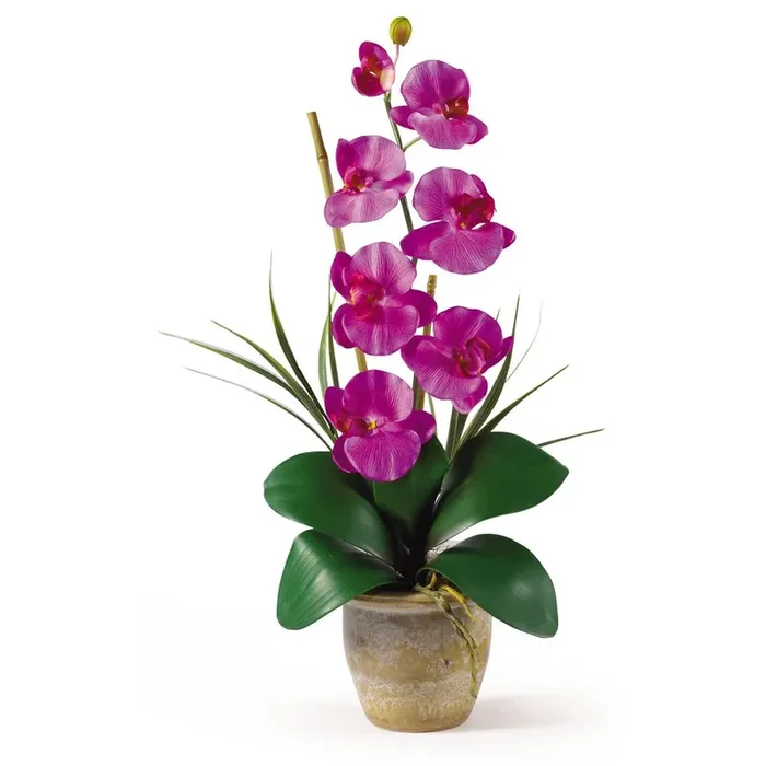 Phalaenopsis Silk Orchid Flower Arrangement – Pink